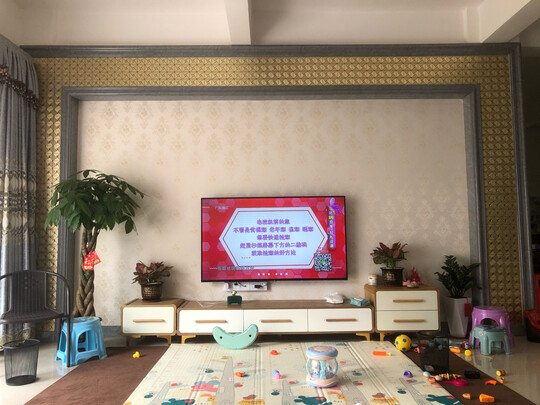 %title插图%num TCL 65V2-Pro 65英寸 4K高清大内存AI声控智屏 智能网络WiFi 液晶平板电视机