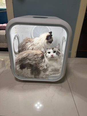  宠物烘干箱
