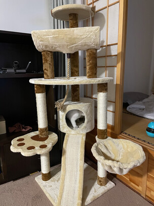 猫爬架