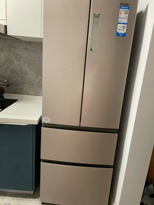 大神曝光海尔bcd481wghtdd9d9u1怎么样内行人告诉你真相