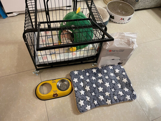 猫窝