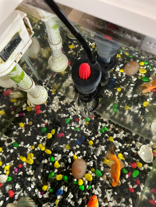 鱼缸加热棒