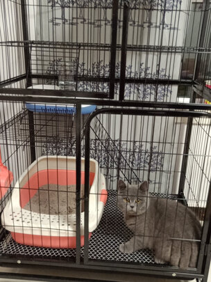  猫笼