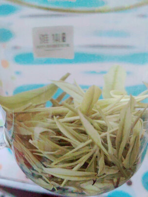 安吉白茶