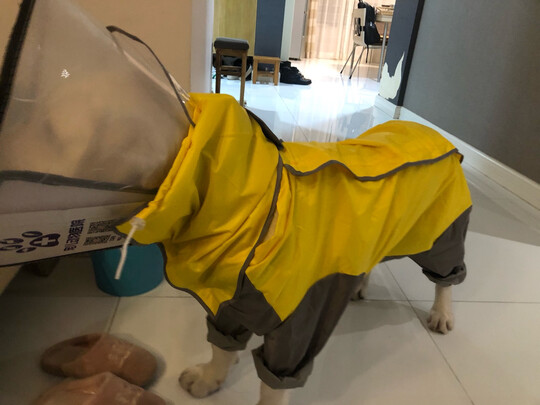 狗狗雨衣