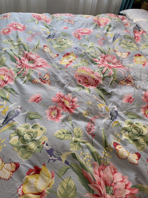 富安娜欢乐颂抗菌白鹅绒冬厚被评判质量差有依据吗？