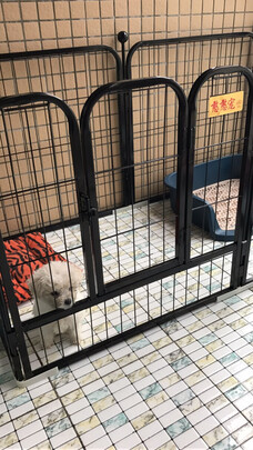 狗笼