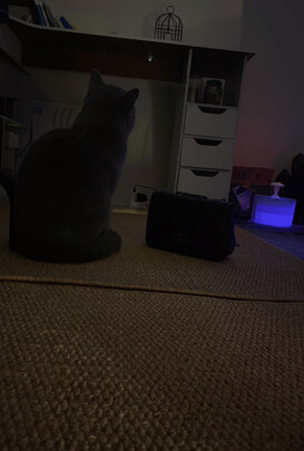 RigalRD-853质量诉说体验后讲一讲感受