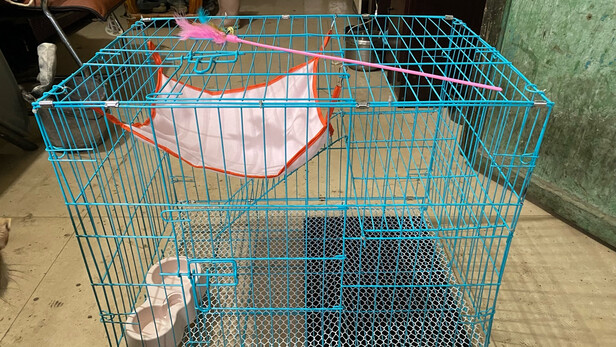  猫笼