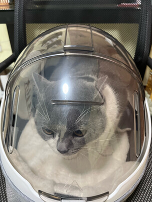 猫包