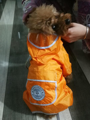 狗狗雨衣