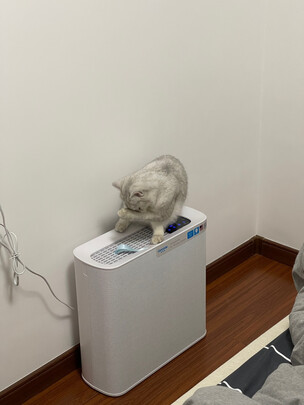 吉若奥空气净化器|外观展示吉若奥空气净化器怎么样?到底有没有效果？