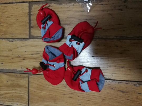 狗狗鞋