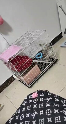  猫笼
