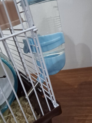 仓鼠水壶