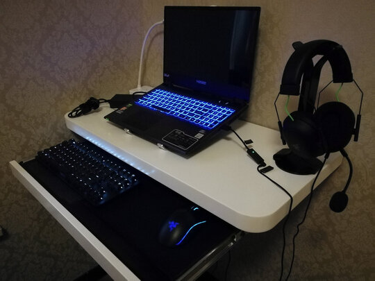 求助揭秘雷蛇（Razer）旋风黑鲨V2怎么样?一个月后质量真相
