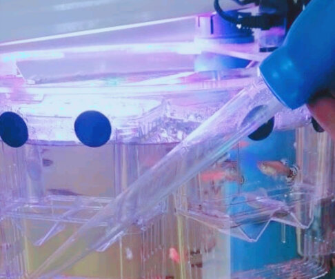 鱼缸换水器