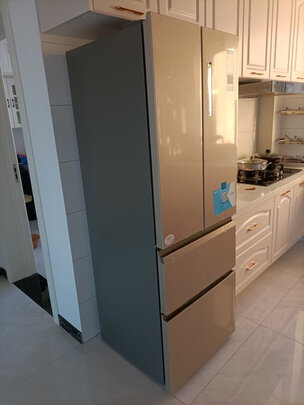 冰箱|统帅BCD-335WLDPGU1真实使用感受？真相必看