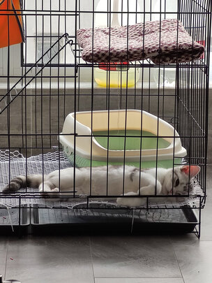 猫笼