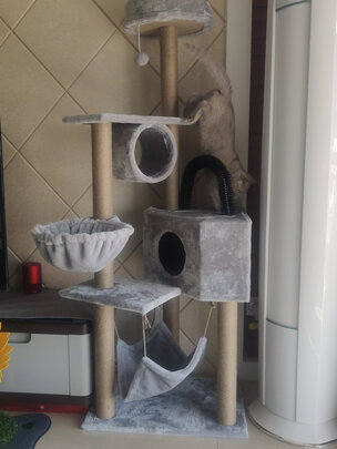猫爬架