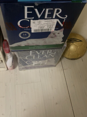 膨润土猫砂