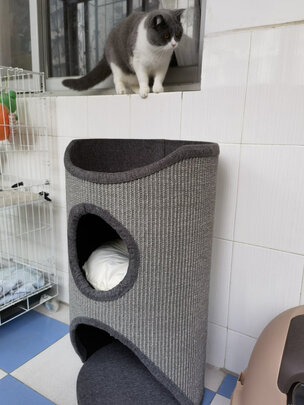 猫爬架
