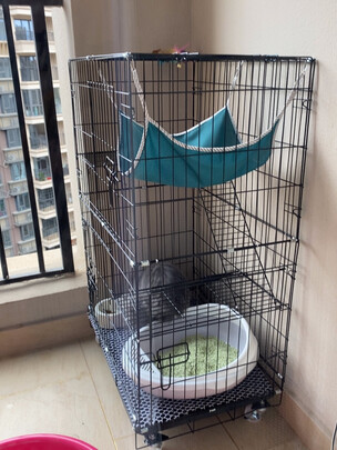  猫笼