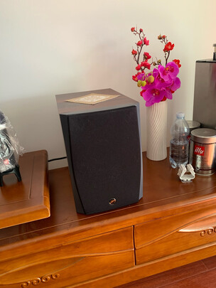 惠威D1090选择五大雷区要慎重