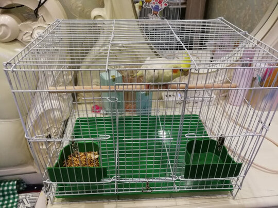 鸟笼