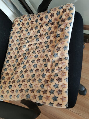 猫窝