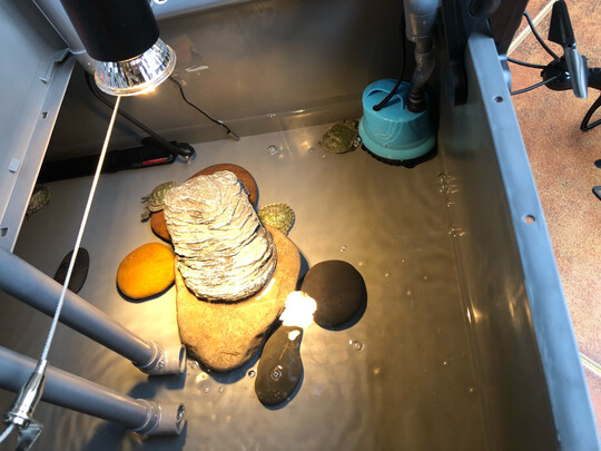 伊罕鱼缸加热棒摆放示意图