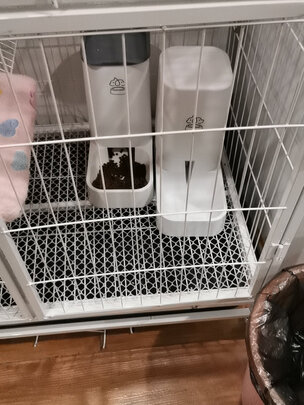 宠物自动喂食器