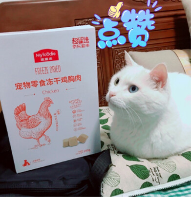 猫冻干