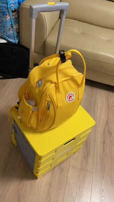 折叠行李车