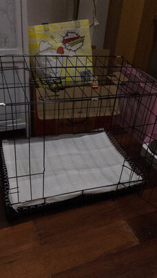  狗笼