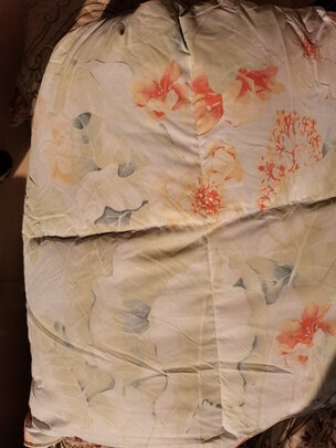 富安娜欢乐颂抗菌白鹅绒二合一被极度喜欢感受反馈