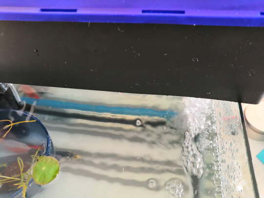鱼缸水泵