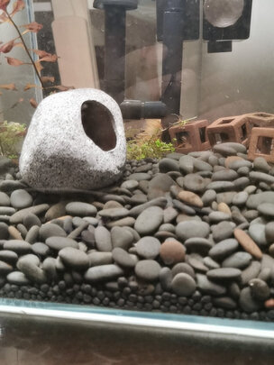 水草泥