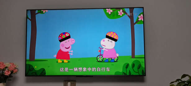 问下区别tcl雷鸟s535c和R625C哪款好用，应该怎么样选择！