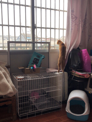  猫笼
