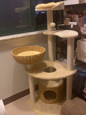 猫爬架