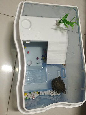 乌龟缸