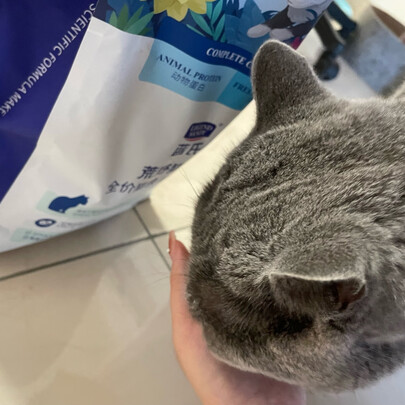 猫粮