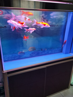 鱼缸刷子