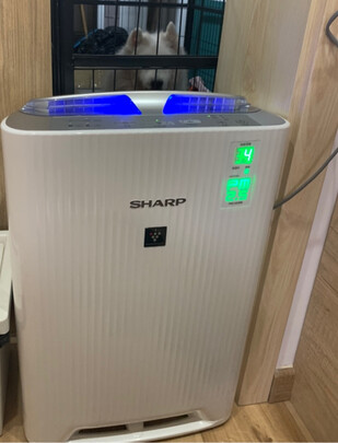 夏普KC-WG605-W空气净化器|独家剖析夏普和长虹电视哪个好？质量口碑对比差距大吗？