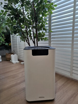 SOLEUSAIRA03|SOLEUSAIRA03如何,值得入手的原因分享！