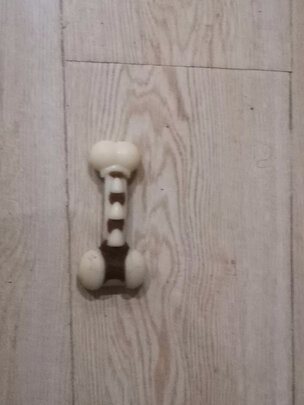 狗狗玩具