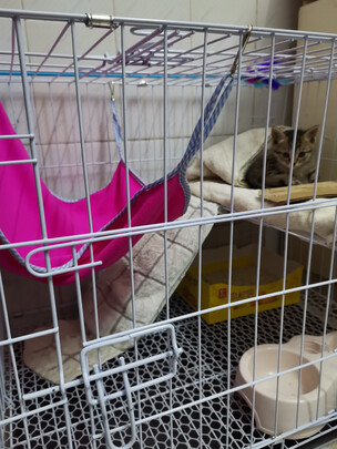  猫笼