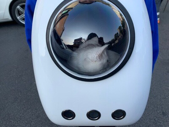 猫包