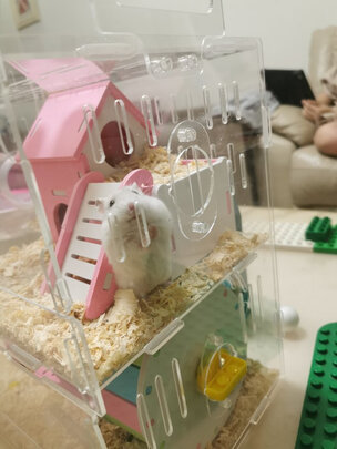 仓鼠水壶